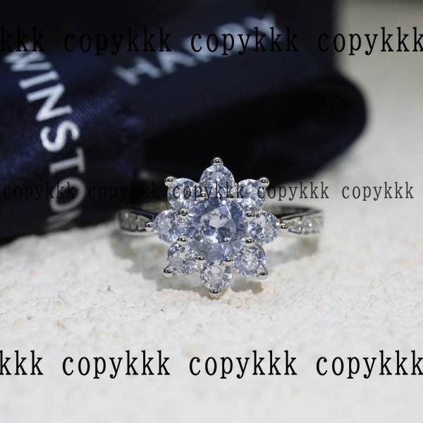 人気 ハリー・ウィンストン アクセサリー N級品 - accessories-00032
