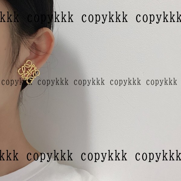 人気 ロエベ アクセサリー N級品 - accessories-01653 画像 6