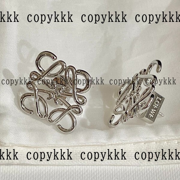 ロエベ アクセサリー ブランドコピー 激安通販 - accessories-01654 画像 4