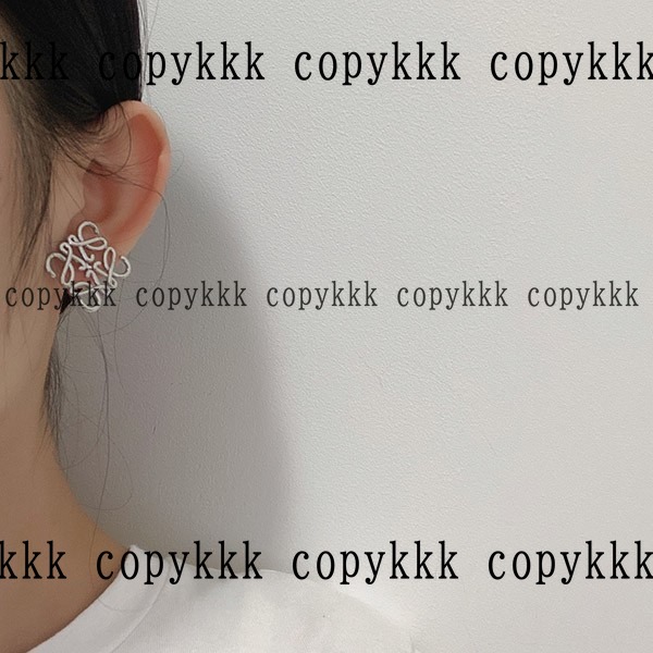 ロエベ アクセサリー ブランドコピー 激安通販 - accessories-01654 画像 6