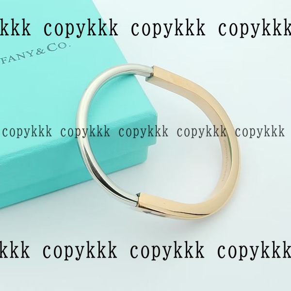 人気 ティファニー ブレスレット N級品 - accessories-01168 おすすめN級品