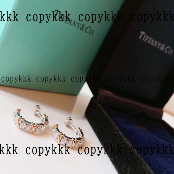 大人気 ティファニー イヤリング ブランドコピー - accessories-01101 画像 5