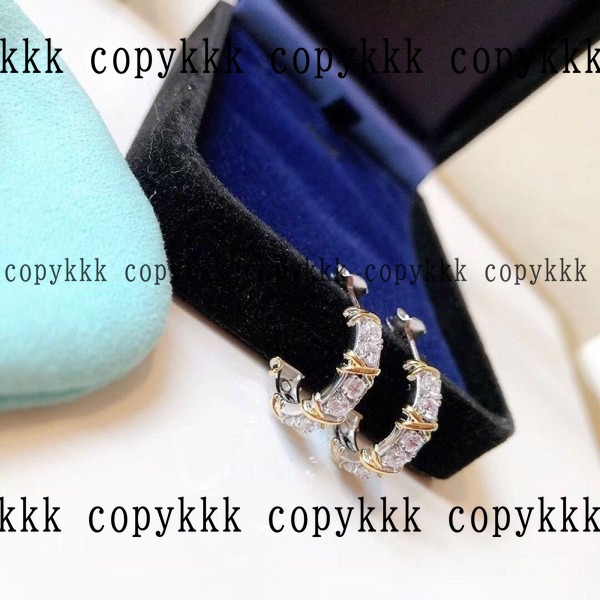 大人気 ティファニー イヤリング ブランドコピー - accessories-01101 画像 8