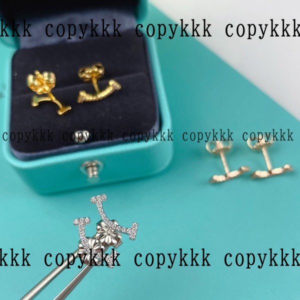 人気 ティファニー イヤリング N級品 - accessories-01110