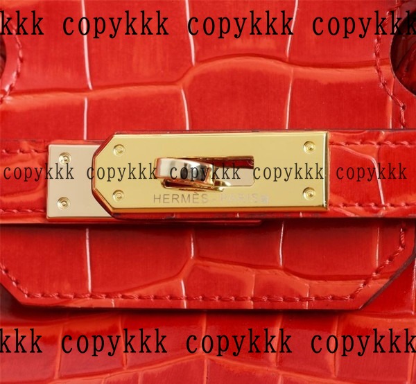 送料無料 エルメス バーキン スーパーコピー - bags-04548 画像 2