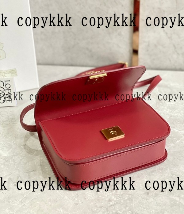 大人気 ロエベ ショルダーバッグ コピー - bags-04968 画像 25