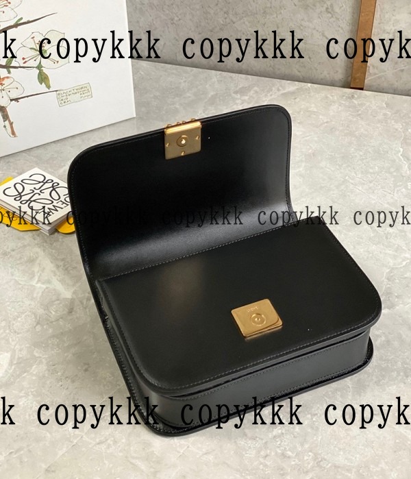 大人気 ロエベ ショルダーバッグ コピー - bags-04968 画像 6