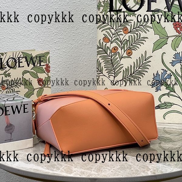 ロエベ ハンドバッグ コピー 激安通販 - bags-04741 画像 5