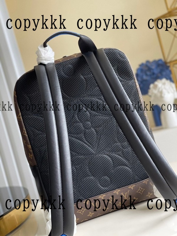 大人気 ルイ・ヴィトン リュック コピー - bags-02480 画像 5