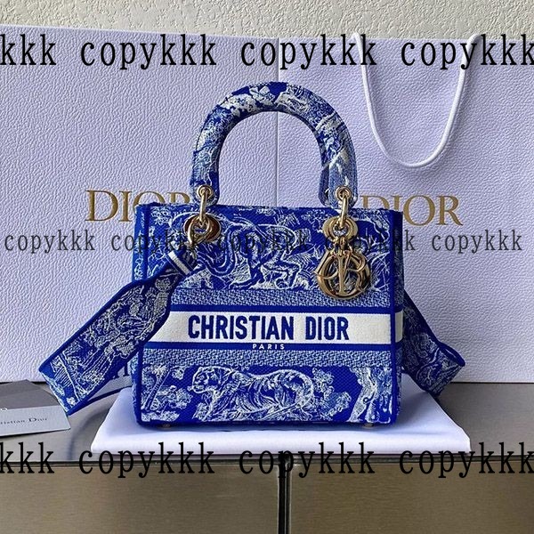 格安 ディオール ハンドバッグ スーパーコピー - bags-03751 おすすめN級品