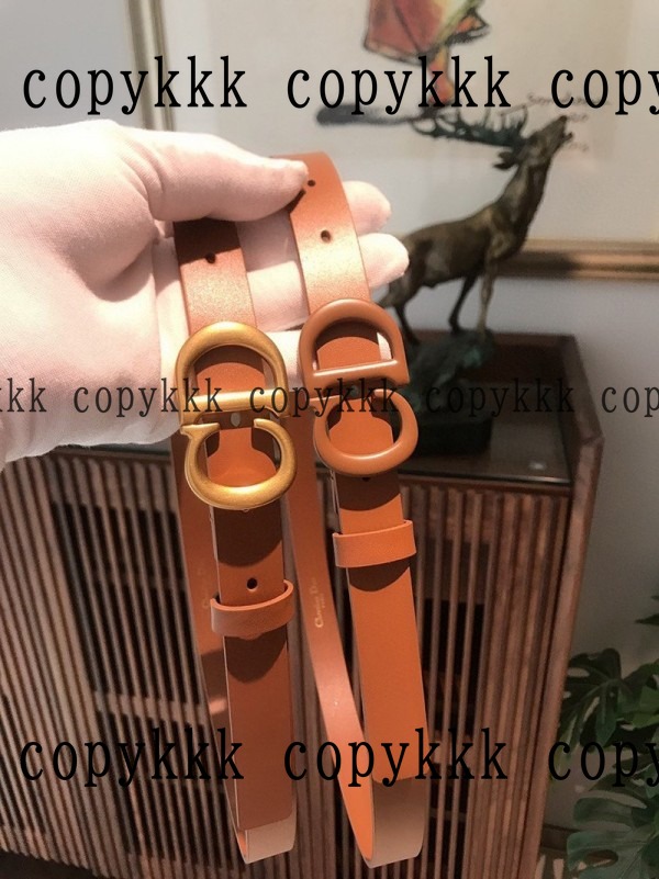 送料無料 ディオール ベルト コピー - belts-00486 画像 2