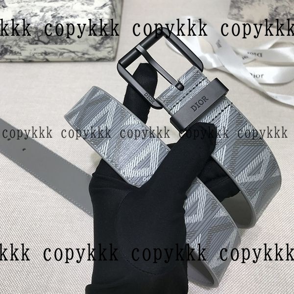 ディオール ベルト ブランドコピー 激安通販 - belts-00387 メイン画像