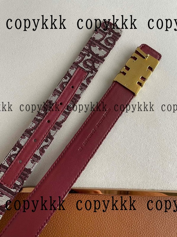 大人気 ディオール ベルト ブランドコピー - belts-00465 画像 4