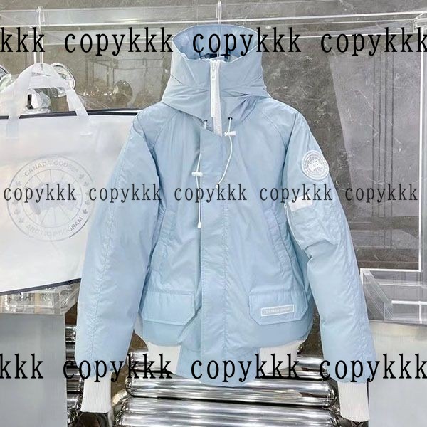 人気 カナダグース ダウンジャケット N級品 - clothing-00099