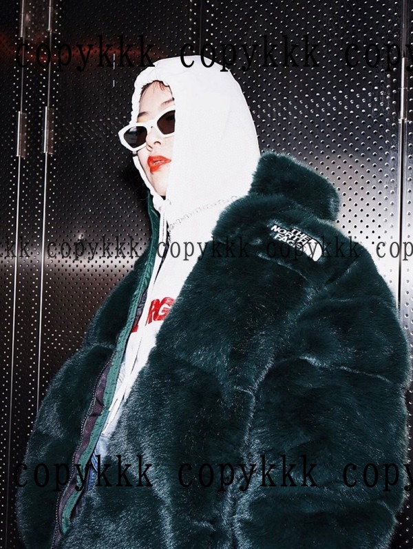 ザ・ノース・フェイス ジャケット N級品 送料無料 - clothing-01498 画像 5