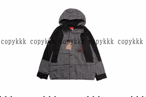 大人気 ザ・ノース・フェイス ジャケット コピー - clothing-01538 画像 7