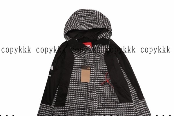 大人気 ザ・ノース・フェイス ジャケット コピー - clothing-01538 画像 8