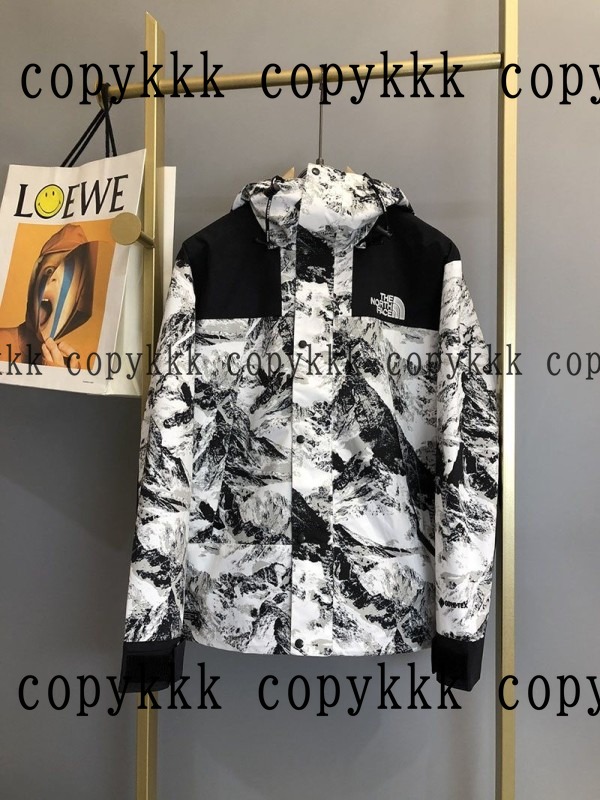 人気 ザ・ノース・フェイス ジャケット N級品 - clothing-01550 おすすめN級品