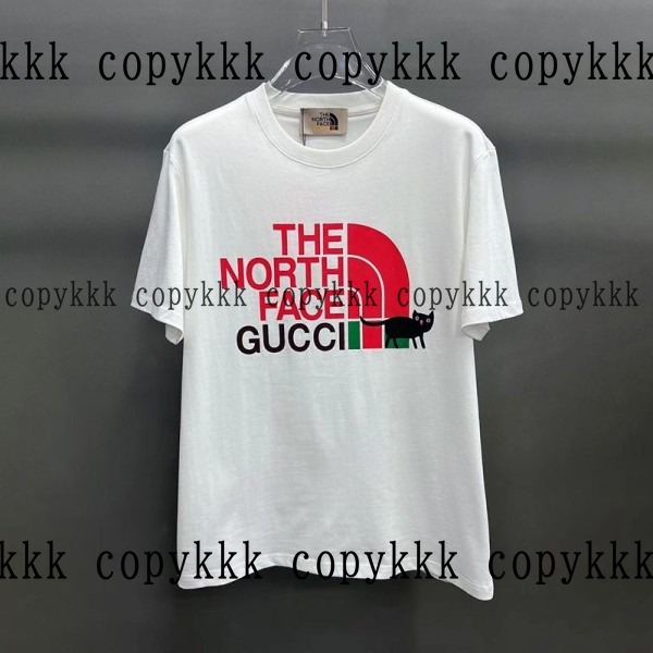 人気 ザ・ノース・フェイス 半袖 N級品 - clothing-01461