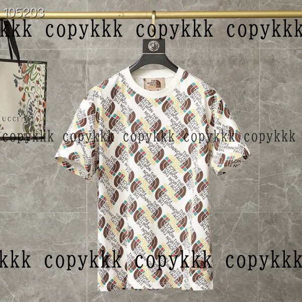 人気 ザ・ノース・フェイス 半袖 N級品 - clothing-01469 おすすめN級品