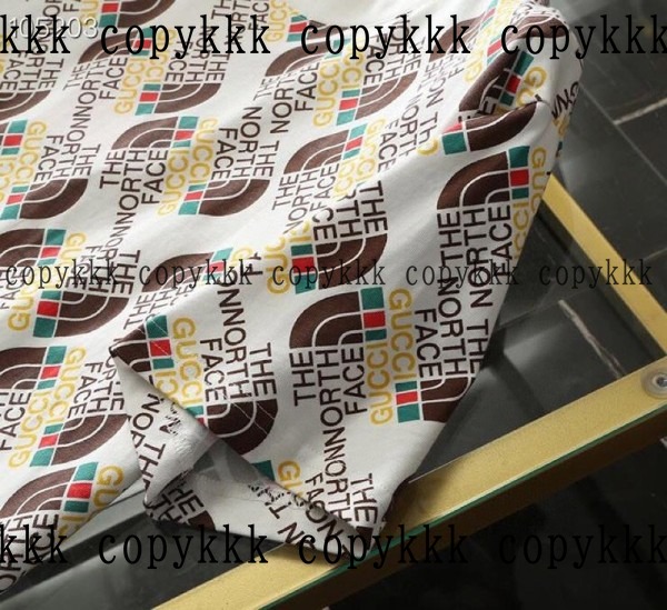 人気 ザ・ノース・フェイス 半袖 N級品 - clothing-01469 画像 7
