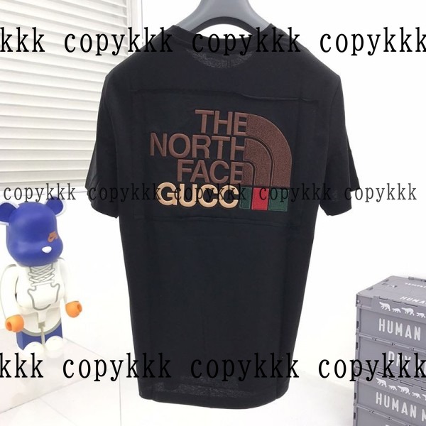 人気 ザ・ノース・フェイス 半袖 N級品 - clothing-01470