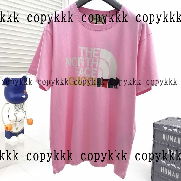 人気 ザ・ノース・フェイス 半袖 N級品 - clothing-01472 おすすめN級品