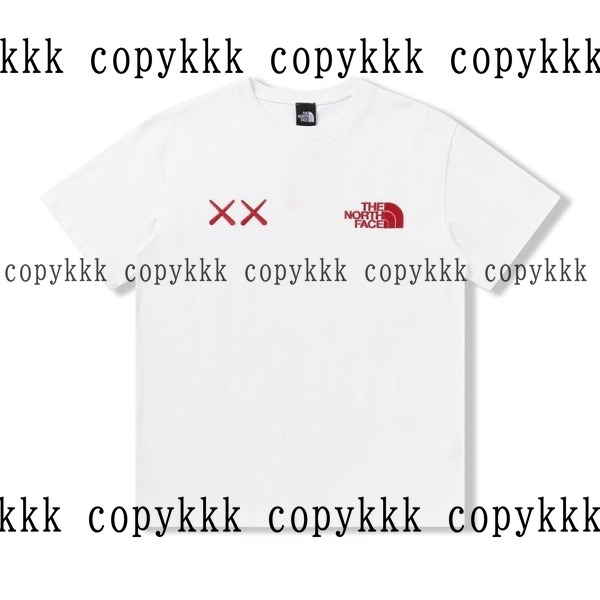 人気 ザ・ノース・フェイス 半袖 N級品 - clothing-01476