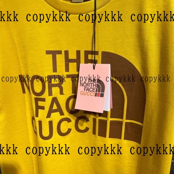 人気 ザ・ノース・フェイス 半袖 N級品 - clothing-01478 画像 4