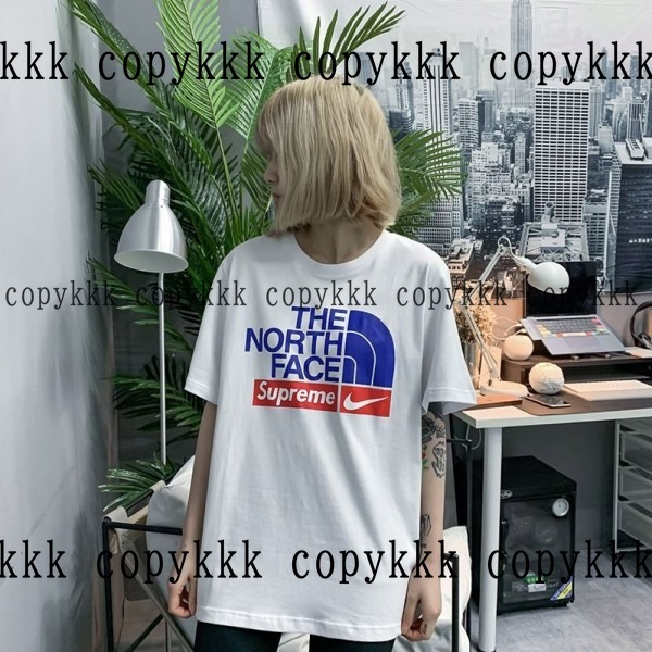 ザ・ノース・フェイス 半袖 コピー 激安通販 - clothing-01457