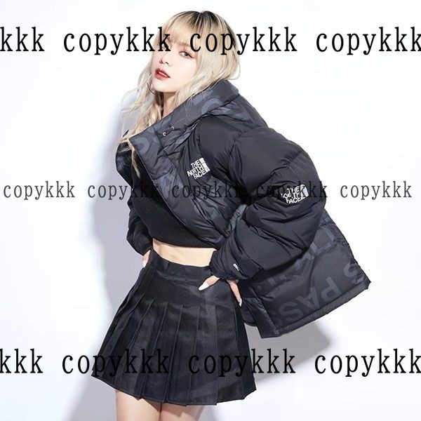 ザ・ノース・フェイス ダウンジャケット コピー 激安通販 - clothing-01354