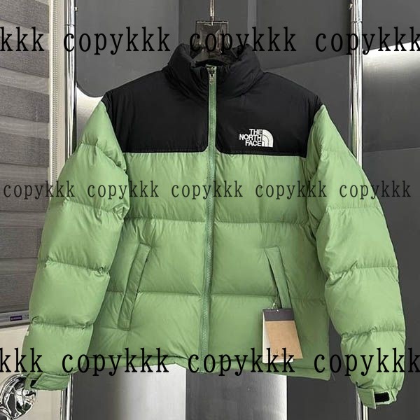 送料無料 ザ・ノース・フェイス ダウンジャケット スーパーコピー - clothing-01365 おすすめN級品