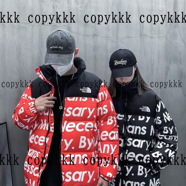 大人気 ザ・ノース・フェイス ダウンジャケット コピー - clothing-01371 おすすめN級品