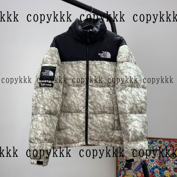 大人気 ザ・ノース・フェイス ダウンジャケット コピー - clothing-01346