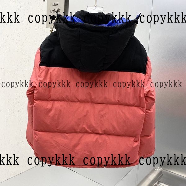 ザ・ノース・フェイス ダウンジャケット N級品 送料無料 - clothing-01376 画像 2