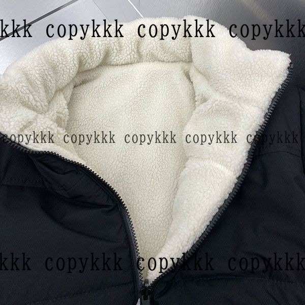 人気 ザ・ノース・フェイス ダウンジャケット N級品 - clothing-01377 画像 6