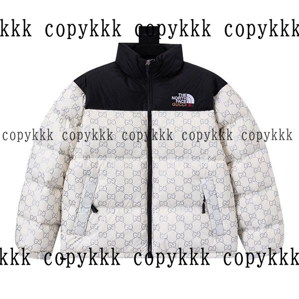 大人気 ザ・ノース・フェイス ダウンジャケット コピー - clothing-01382
