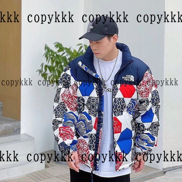 ザ・ノース・フェイス ダウンジャケット コピー 激安通販 - clothing-01385 おすすめN級品