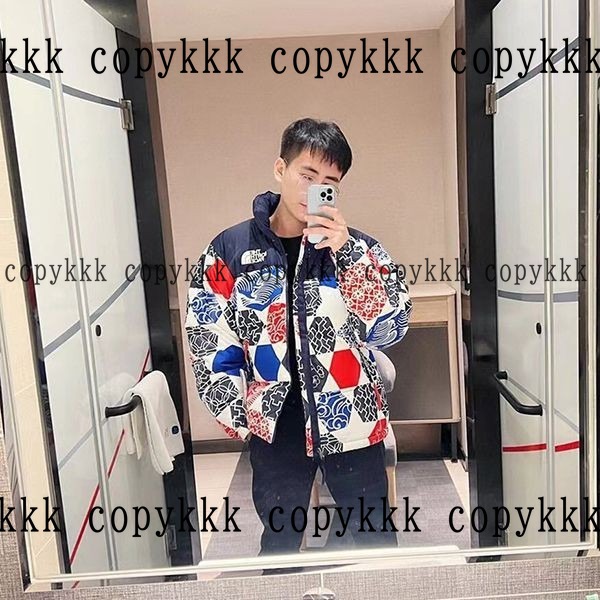 ザ・ノース・フェイス ダウンジャケット コピー 激安通販 - clothing-01385 画像 3