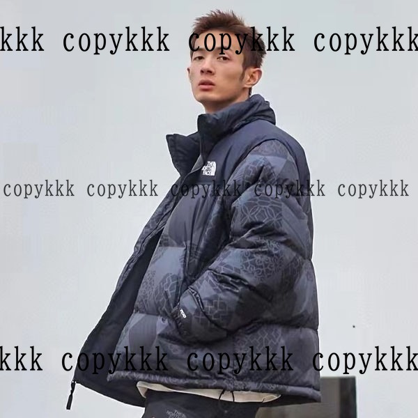 ザ・ノース・フェイス ダウンジャケット N級品 送料無料 - clothing-01387