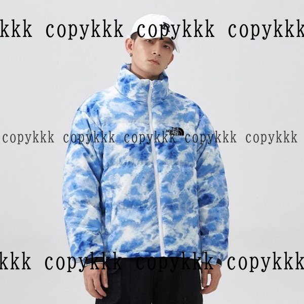 格安 ザ・ノース・フェイス ダウンジャケット スーパーコピー - clothing-01410
