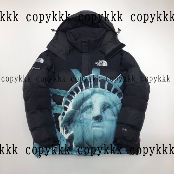 送料無料 ザ・ノース・フェイス ダウンジャケット スーパーコピー - clothing-01413