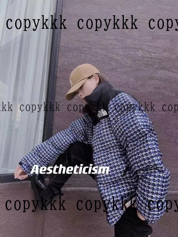 ザ・ノース・フェイス ダウンジャケット N級品 送料無料 - clothing-01420 画像 4