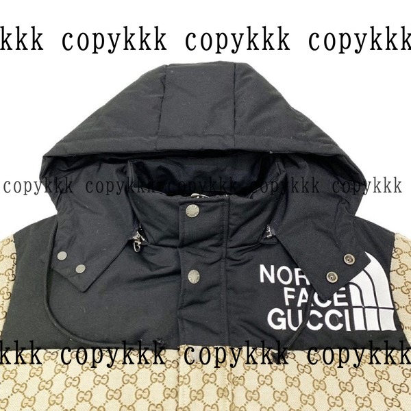 人気 ザ・ノース・フェイス ダウンジャケット N級品 - clothing-01421 画像 3