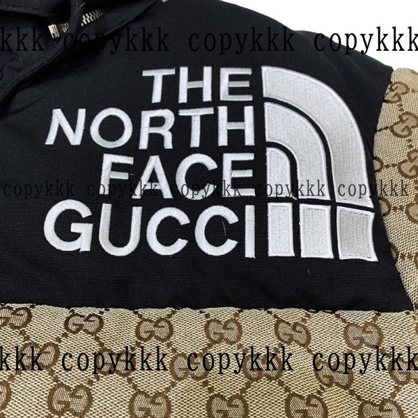 人気 ザ・ノース・フェイス ダウンジャケット N級品 - clothing-01421 画像 5