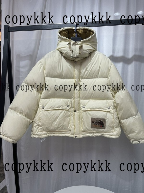 人気 ザ・ノース・フェイス ダウンジャケット N級品 - clothing-01427