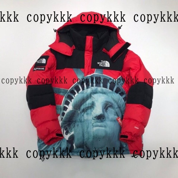 ザ・ノース・フェイス ダウンジャケット N級品 送料無料 - clothing-01433