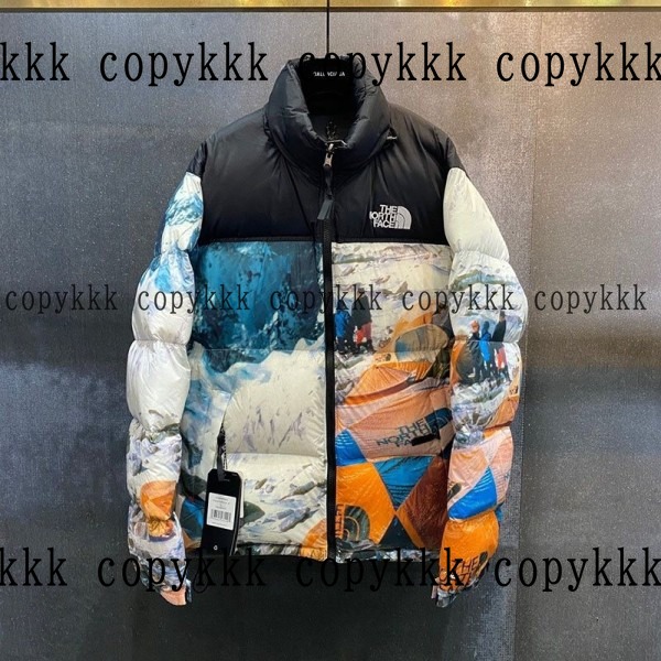 大人気 ザ・ノース・フェイス ダウンジャケット コピー - clothing-01434
