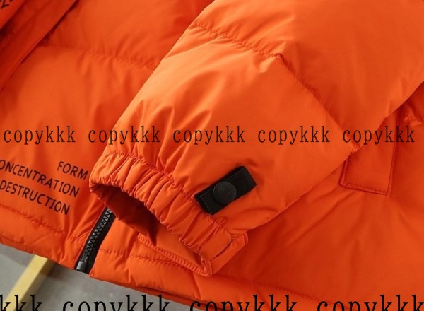 ザ・ノース・フェイス ダウンジャケット N級品 送料無料 - clothing-01437 画像 7