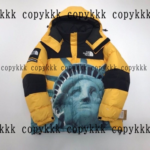 ザ・ノース・フェイス ダウンジャケット コピー 激安通販 - clothing-01440